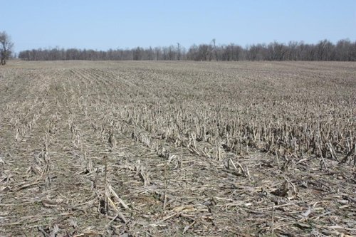 Property photo 6 - 200+/- Acre Land Auction in Gibson County, Indiana